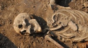В Киришском районе мужчина нашел человеческие останки в новоприобретенном доме
