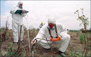 В Ленинградской области проверят почву на радиоактивность