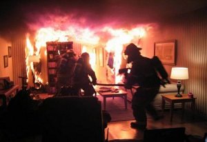 В Ленобласти мужчина сжёг свой дом