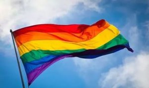 Власти Ленобласти не будут отменять ЛГБТ-фестиваль в Приозёрском районе