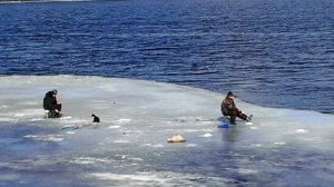 В Ленобласти спасатели для поиска выходящих на лёд рыбаков задействуют беспилотник