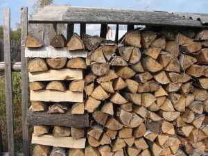 В Ленобласти упростят процесс заготовки дров