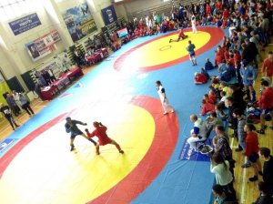 Фестиваль самбо и дзюдо в Ленобласти собрал 300 молодых спортсменов