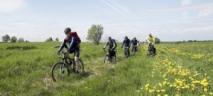 В Ленобласти появится первый велосипедный маршрут